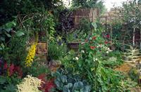 Vegetable Garden Design on Decorative Vegetable Garden Design