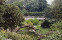 Drum Bridge in the Japanese Garden